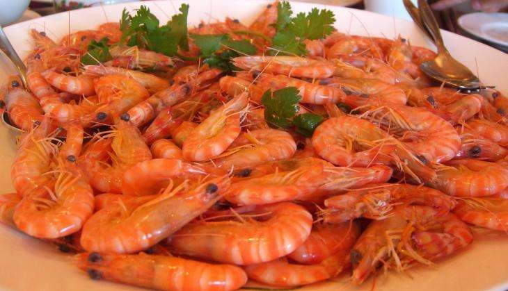 Shrimp