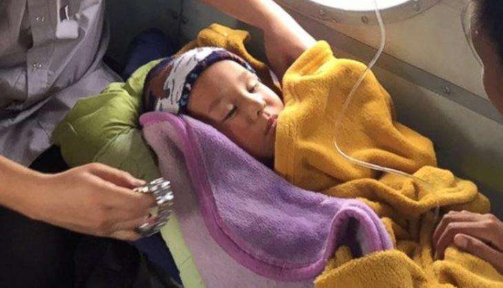 siberian jungle kid survived2.jpg
