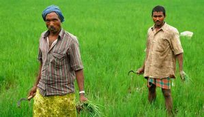धान के कटोरे' में 30 लाख किसान बेहाल 
