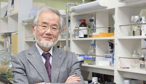 Nobel Prize 2016 for medicine goes to Yoshinori Ohsumi 
