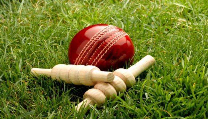 Cricket ball