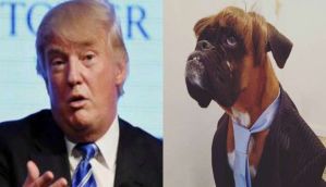 Dog with 'striking resemblance' to Donald Trump wins best dressed competition 