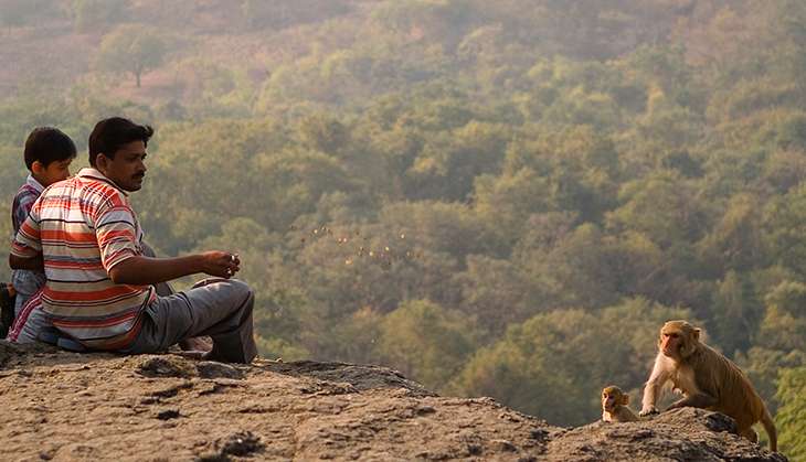 Mumbai can choke. BJP wants to kill off national park for political gain 