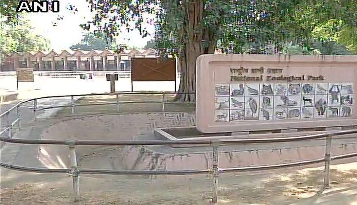 Delhi Zoo Bird Flu