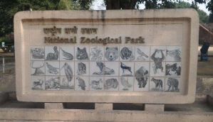 Delhi zoo comes back to normalcy, records exotic deer births 