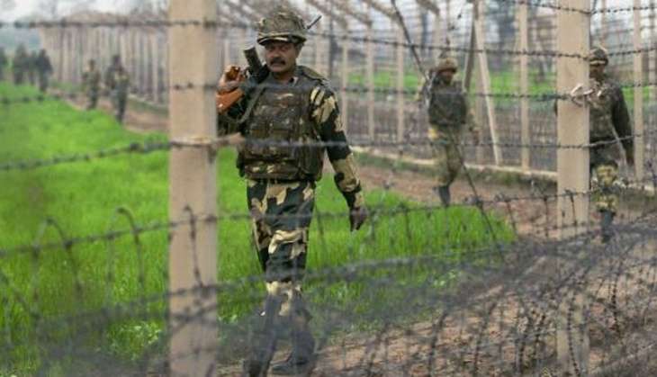 Ceasefire violations by Pakistan lower after surgical strike: Govt