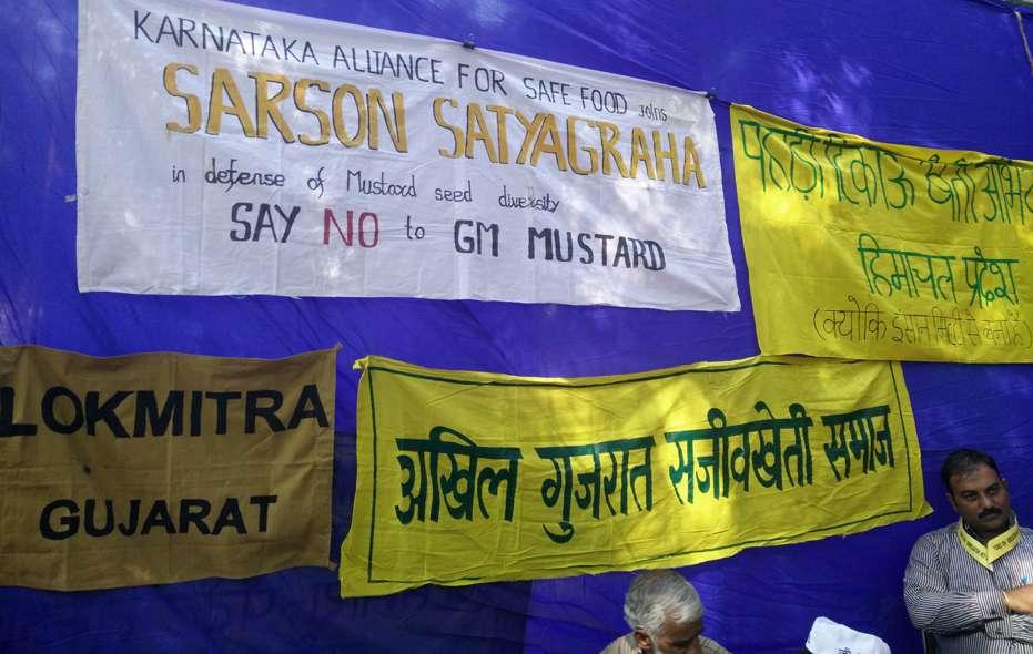 GM Mustard protest 9