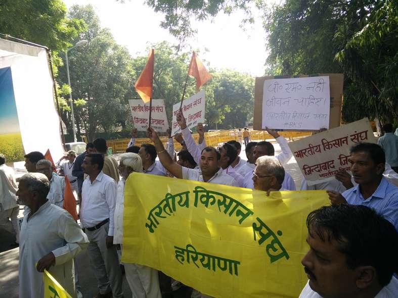 GM Mustard protest 10