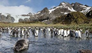 World's largest marine protected area created in Antarctica 