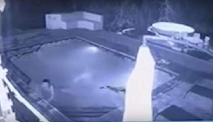 Crocodile in swimming pool.jpg