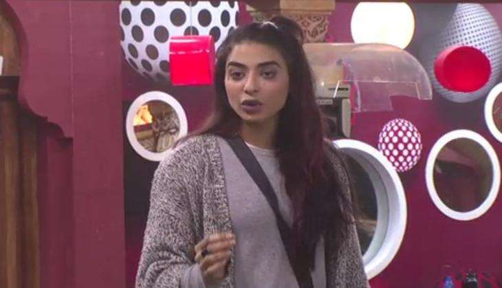 Baani bigg boss 10