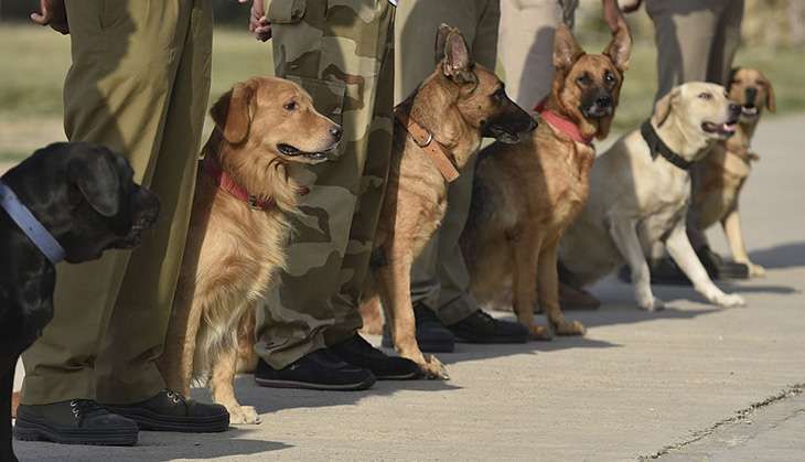 India and Nepal bond over dog training