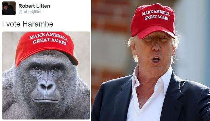 harambe trump us polls - trump image from Etsy