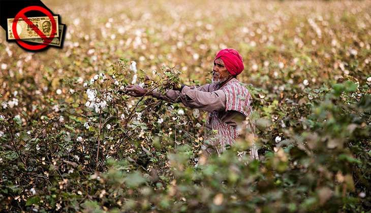 Rajasthan poor and farmers suffer effects of demon