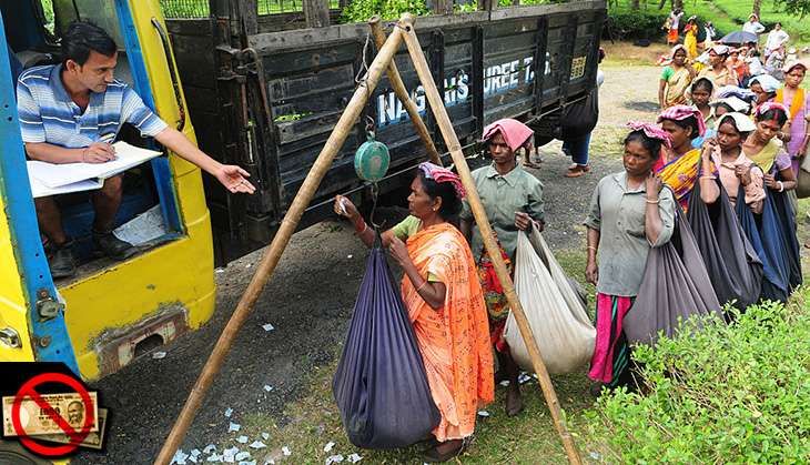 Tea workers Jalpaiguri Indranil Bhoumik/Mint/Getty