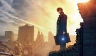 'Fantastic Beasts' sequel reveals major plot details, rounds out cast