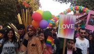 Not just 377: Delhi Queer Pride 2016 goes somewhere over the rainbow 
