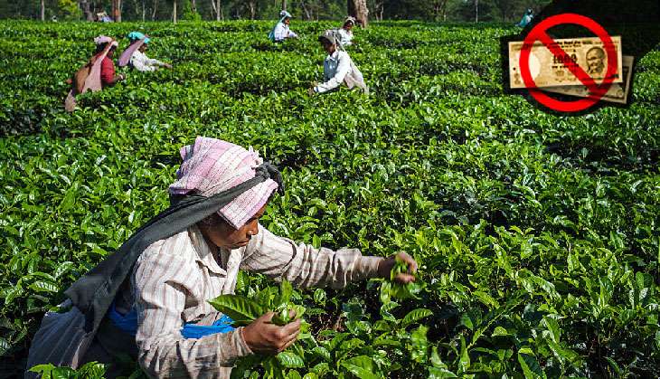 Illiteracy a massive hurdle in opening bank accounts for Bengal's tea workers  