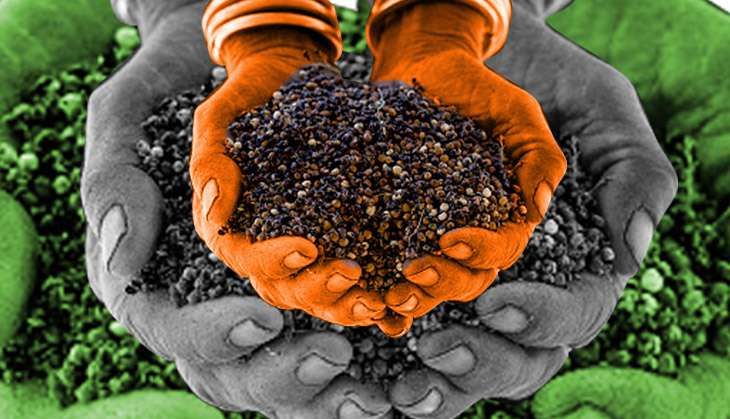 Women millet farmers