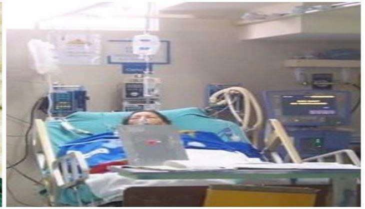 JAYALALITHAA APOLLO HOSPITAL