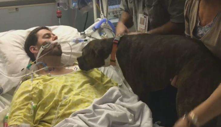 Dog in hospital to say goodbye to his owner.jpg