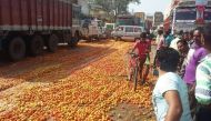 Cash crunch, falling prices: Chhattisgarh farmers dump tomatoes on road in protest 