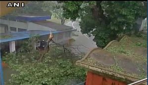 Live: Cyclone Vardah makes landfall in Chennai; 4 killed; army personnel deployed 