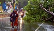 Cyclone Vardah wreaks havoc in Tamil Nadu, Met dept issues further warnings 