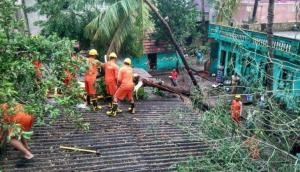 DMK chief M Karunanidhi's ancestral house damaged in cyclone Gaja