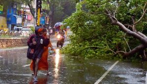 TN govt weathers the Cyclone Vardah as the storm wreaks havoc in Chennai  