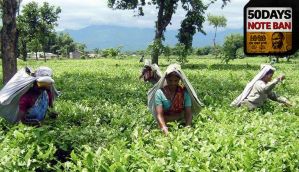   Cash crunch eases in Bengal's tea gardens, but workers aren't sold on cashless idea 