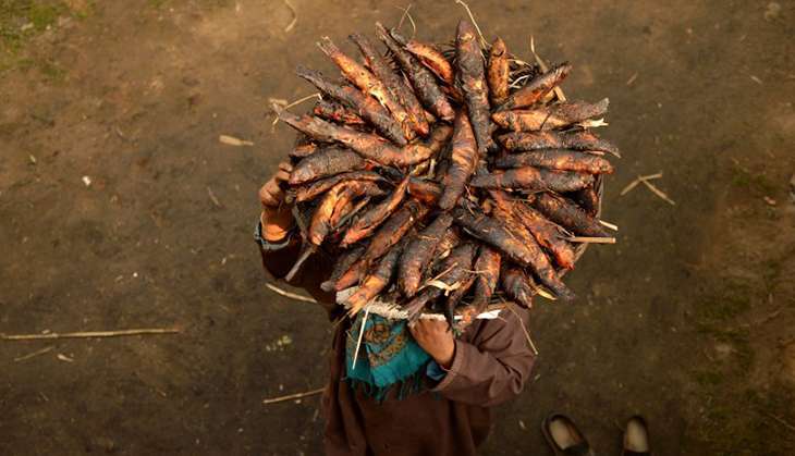 तस्वीरें: कश्मीर की पारंपरिक पाककला की पहचान हैं भुनी हुर्इ मछलियां  