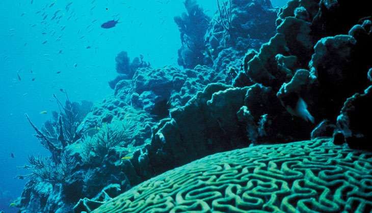 Science loses out to uninformed opinion on climate