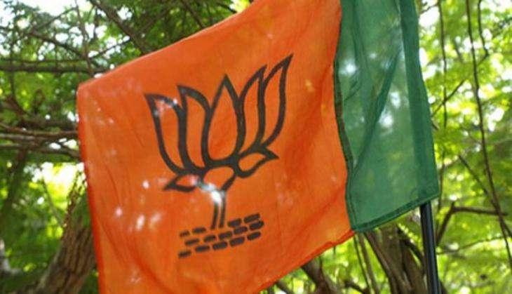 BJP Flag