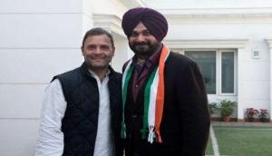 Navjot Singh Sidhu: If Rahul Gandhi loses from Amethi I will quit politics