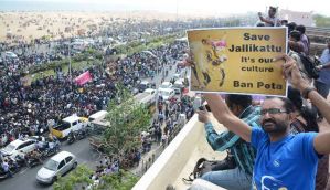 In pictures: Is Jallikattu about cruelty or culture? 