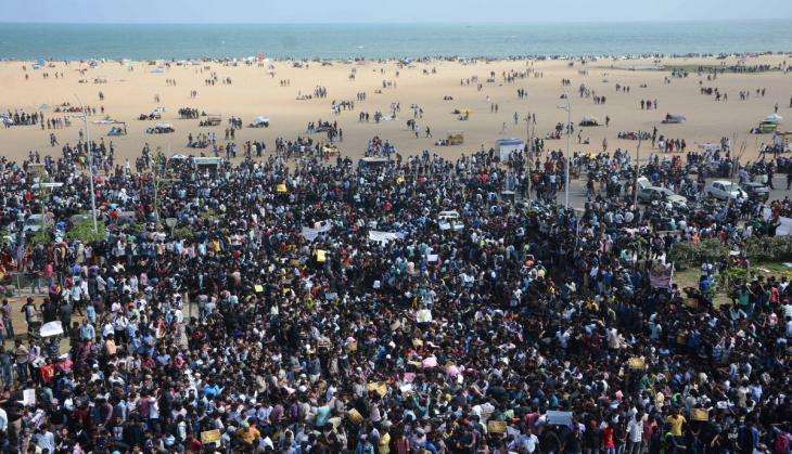 JALLIKATTU ORDINANCE