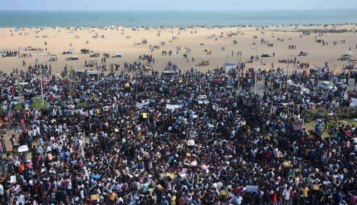 JALLIKATTU ORDINANCE