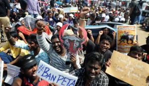 Jallikattu Row: SC to hear all the petitions filed on the bull-taming festival on 31 January 