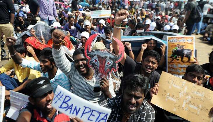 Jallikattu protests at Marina Beach, Chennai, have