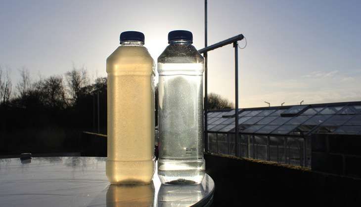 drinking water