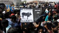 Jallikattu on, but without joy. And Panneerselvam is to blame 