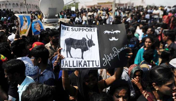 TN CM Panneerselvam mishandled the end of the Jallikattu agitation
