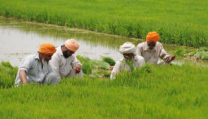 Govt plans new law on contract farming