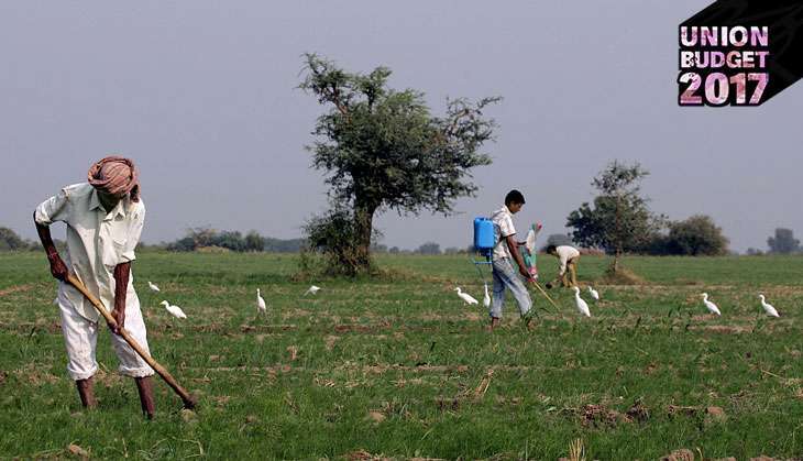 Modi govt's third Budget a big disappointment for farmers, say experts 