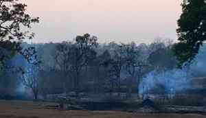 Bandipur Tiger Reserve is facing an acute water crisis. But drought alone is not to blame