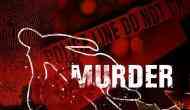 Punjab: Inspired by TV serials, class 12 boy bludgeons grandmother to death
