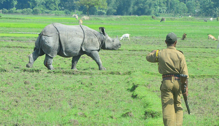 Should forest guards be allowed to shoot poachers at sight? Experts are split