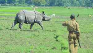 Should forest guards be allowed to shoot poachers at sight? Experts are split