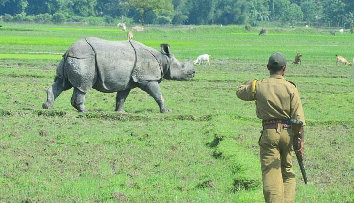 Jim Corbett